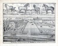 Eli Hodgson, Ridge Stock Farm, Residence, Farm Ridge, La Salle County, La Salle County 1876